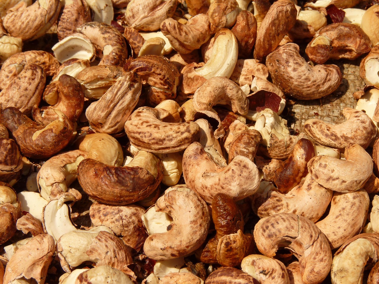 Seller Cashew Nuts - Exporter - Vietnam - The Solomon Brokerage Firm