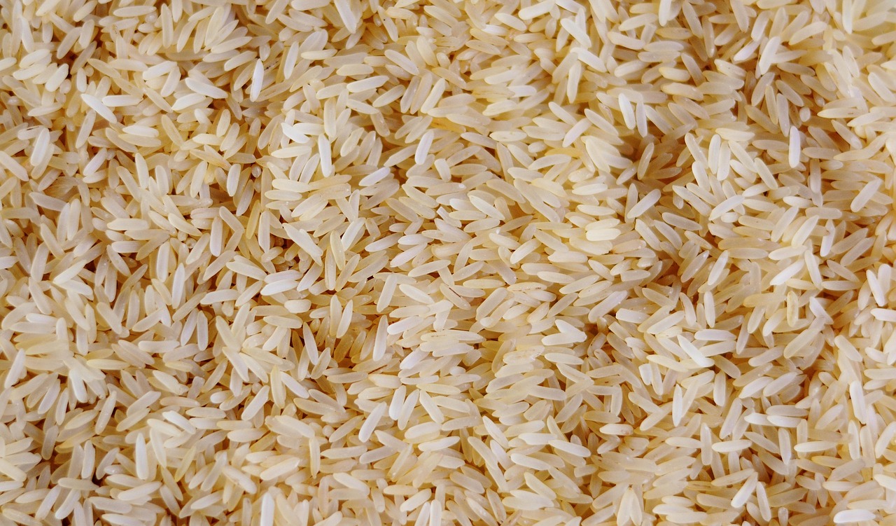 https://solomonbrokerage.com/wp-content/uploads/2026/02/congerdesign-rice-3505977_1280.jpg